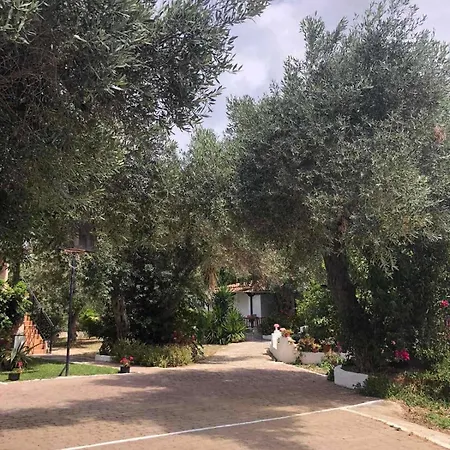 Apartament Daisy