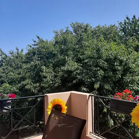 Apartament Daisy Skiathos