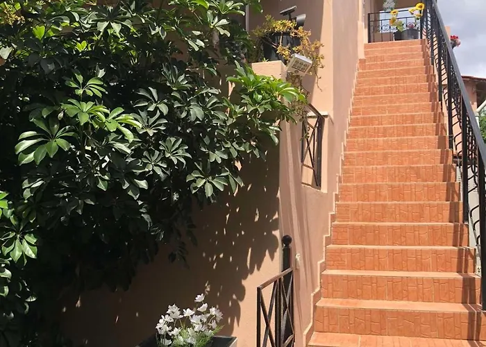 Daisy * העיירה סקיאתוס